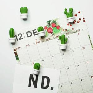 엘홈 선인장 냉장고 마그넷 6p세트 / 자석 자석홀더 메모홀더 냉장고자석 미니자석