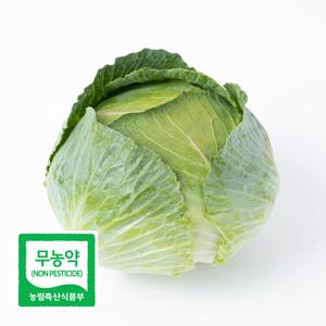초록초록팜 무농약 제주 월동 친환경 양배추 1kg 3kg 5kg 건강식