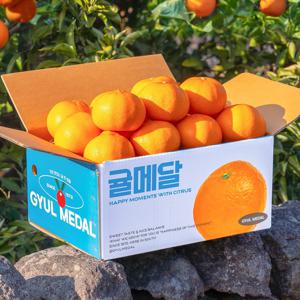 귤메달 제주 천혜향 2kg 3kg 5kg
