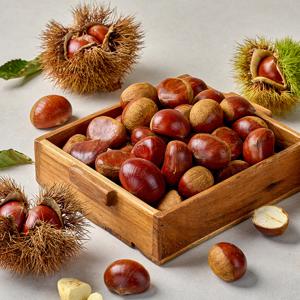 공주 정안밤 햇 알밤 500g 1kg 2kg