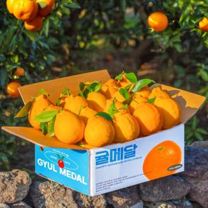 제주 특품 한라봉 2kg 3kg 5kg 산지직송 귤메달