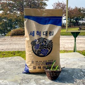 세척 마사토 대립 약20kg . 원예용 선인장 분재 분갈이흙 화분 세척 배수용.