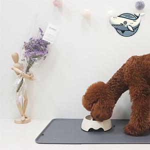 강아지 고양이 밥그릇 실리콘 매트 방수 식사 강아지식기매트 강아지식탁매트 강아지패드