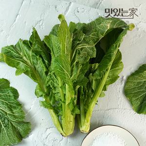 [더조은] 제철맞이 여수 돌산갓 생갓 5kg