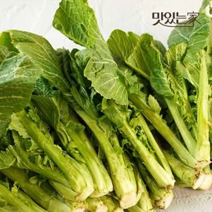 [더조은] 제철맞이 여수 돌산갓 생갓 10kg