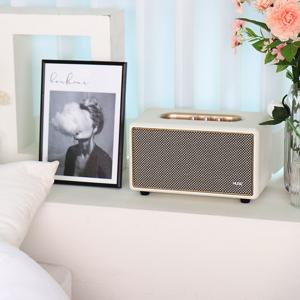 휴라이즈 거실용 고출력 블루투스 스피커 HR-T5 newtro