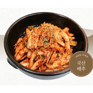담은정 국산 배추 겉절이 5kg