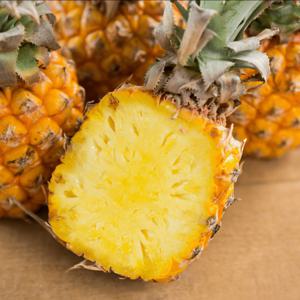 골드 파인애플 열대 수입과일