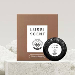 비르몽 아르노 차량용 방향제 리필 카트리지 아쿠아디파르마 호환 디퓨저