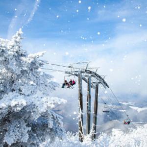 모나용평 25/26 리프트권 단품 리프트+장비렌탈 (~스키장 폐장일까지)