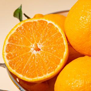 제주직송 서귀포 노지 한라봉 (혼합과) 5kg+5kg / 1박스10kg