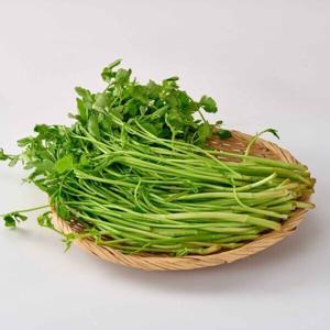 미나리 청도 미나리 200g + 200g (단톡 하루특가) / 1+1 크레이지 세일