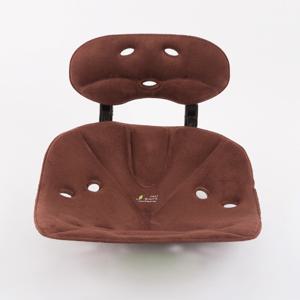 에스백 프로 영 자세교정의자 허리 척추교정 요추지지 골반 디스크앉은뱅이 좌식의자 에스백 최대 할인