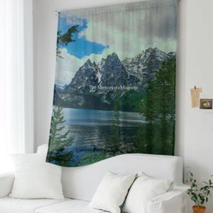 메모리 도톰 쉬폰 패브릭 포스터 창문 가리개커튼 1장