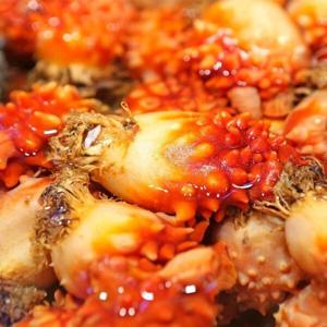 당일조업 통영 활 피멍게 2kg 14-24미 내외