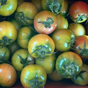 (신선집중) 부산 대저토마토 2.5kg  / S과 (로얄사이즈)