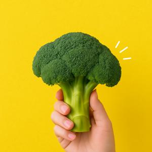 해풍맞은 제주 햇 브로콜리 특품 1kg 2kg 3kg 4kg 당일수확 신선한 제주도를 느껴요