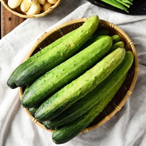 백다다기 오이 특품 2kg 8~14개입 순천 산지직송