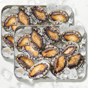 완도 활 전복 중자 14~15미 1kg 선물 세트 산지직송