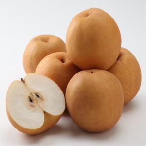 (신선집중) 배 나주배 가정용 햇 배 5kg 소과 (16-25과 내외) / 특가행사