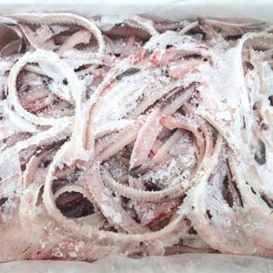 국산 민물 장어뼈 5kg/생물 장어머리를 급냉동하여 보내드립니다 뼈/양산도