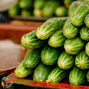 대아프레시 야채아저씨네 수분가득 저칼로리 영양밀도 가득 청오이5개 오늘 수확 / 내일 도착