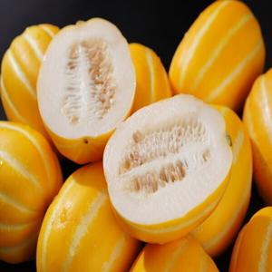 참외 성주참외 가정용 (혼합과) 3kg