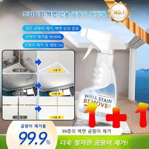 1/1+1 벽면 얼룩 곰팡이 강력 제거제 초강력 뿌리는 곰팡이제거제