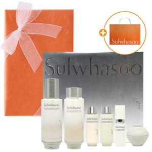 설화수 진설 2종 고급선물포장 쇼핑백