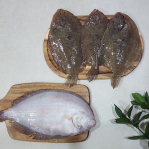 생물 가자미 2kg + 2kg 총 4kg 생선 조림 구이