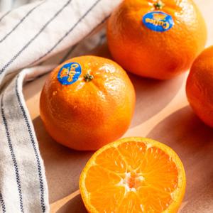 린디 고당도 만다린 귤 썬키스트 큐티스 캘리포니아 미국산귤