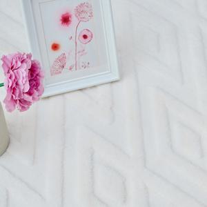 먼지없는 단모 워셔블 북유럽 사계절 거실 러그 카페트 발매트 증정(랜덤디자인 소진시까지)