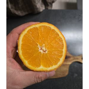 고당도 블랙라벨 카슈골드 오렌지 6kg 선물용 가정용