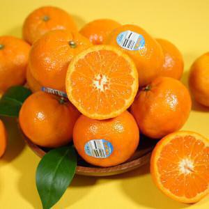 이마트 USA) 미국 캘리포니아산 만다린 귤 38-43과(4KG) 무료배송