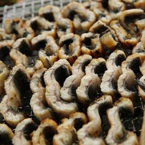 국산 초특대 자포니카 민물장어 2kg(2-3미) 손질후 1.2kg