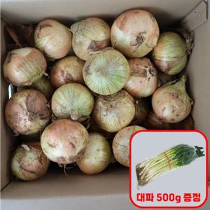 식명관 무안 햇양파 3kg 사이즈 소 구매시 흙대파 500g 증정 (25년 햇양파)