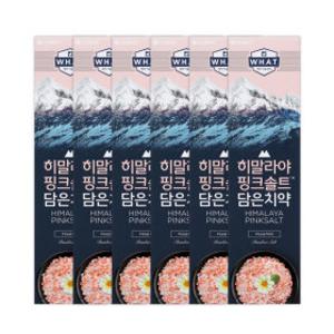 히말라야 핑크솔트 치약 플로럴민트 100g 6개