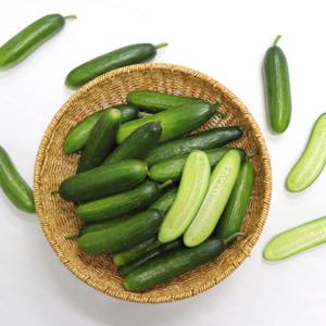 농산물마루 국내산 미니오이 스낵오이 산지에서 신선함으로 전해드립니다.1kg/500g