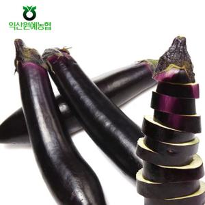 [농협] 국내산 신선 가지 2kg(8-14개)