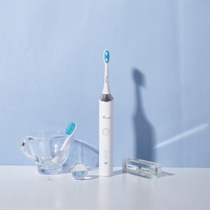 덴탈픽 DP-5001 클래식 전동칫솔 시린이 잇몸케어