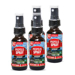 [통라이프][통라이프] 캐나다 프로폴리스 스프레이 30ml(플라보노이드 500mg)4병
