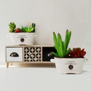 아트박스/진바스 TR 다육이 작은정원 조화화분