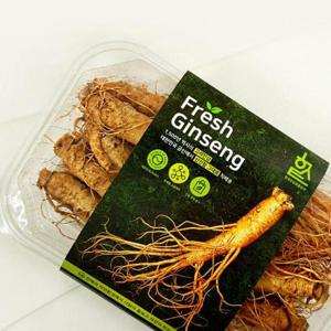 금산인삼 고려인삼 (1124)(B) 4호