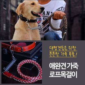 애완견 가죽 로프 목걸이 L 강아지목줄 애견목줄 강아지목걸이 목줄 애견줄