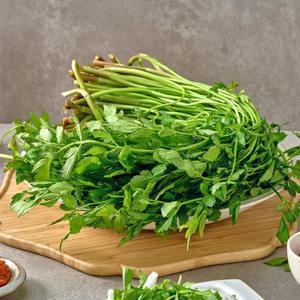 당일수확 향긋한 한재 미나리 500g
