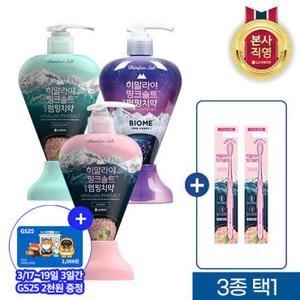 죽염 히말라야 핑크솔트 펌핑치약 285g 2개(바이옴/아이스/플로럴)+칫솔2개 3종 택1