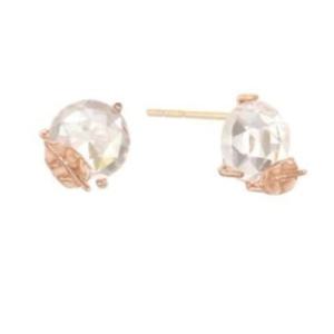 [로이드] 1월 사과나무잎 10K Gold 귀걸이 LPTJ119AT