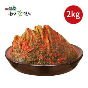 여수돌산갓김치 2kg