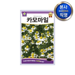 케모마일 허브 씨앗 20g . 카모마일 정원 텃밭 꽃밭 재배 키우기 꽃씨 종자.