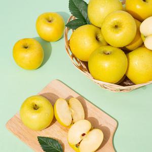 황금사과 시나노골드 가정용 2kg 14-16과